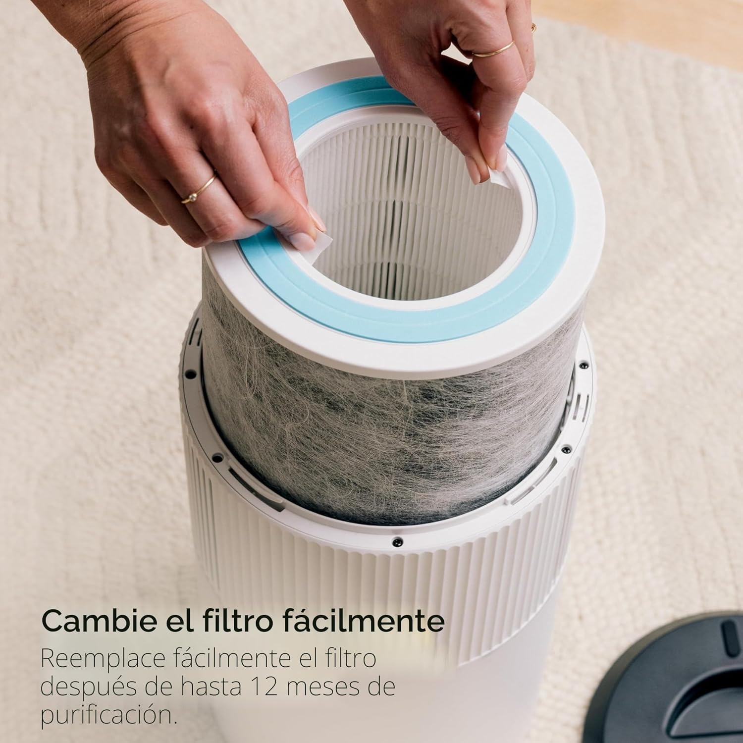Purificador de aire Shark con filtro True HEPA - HP102