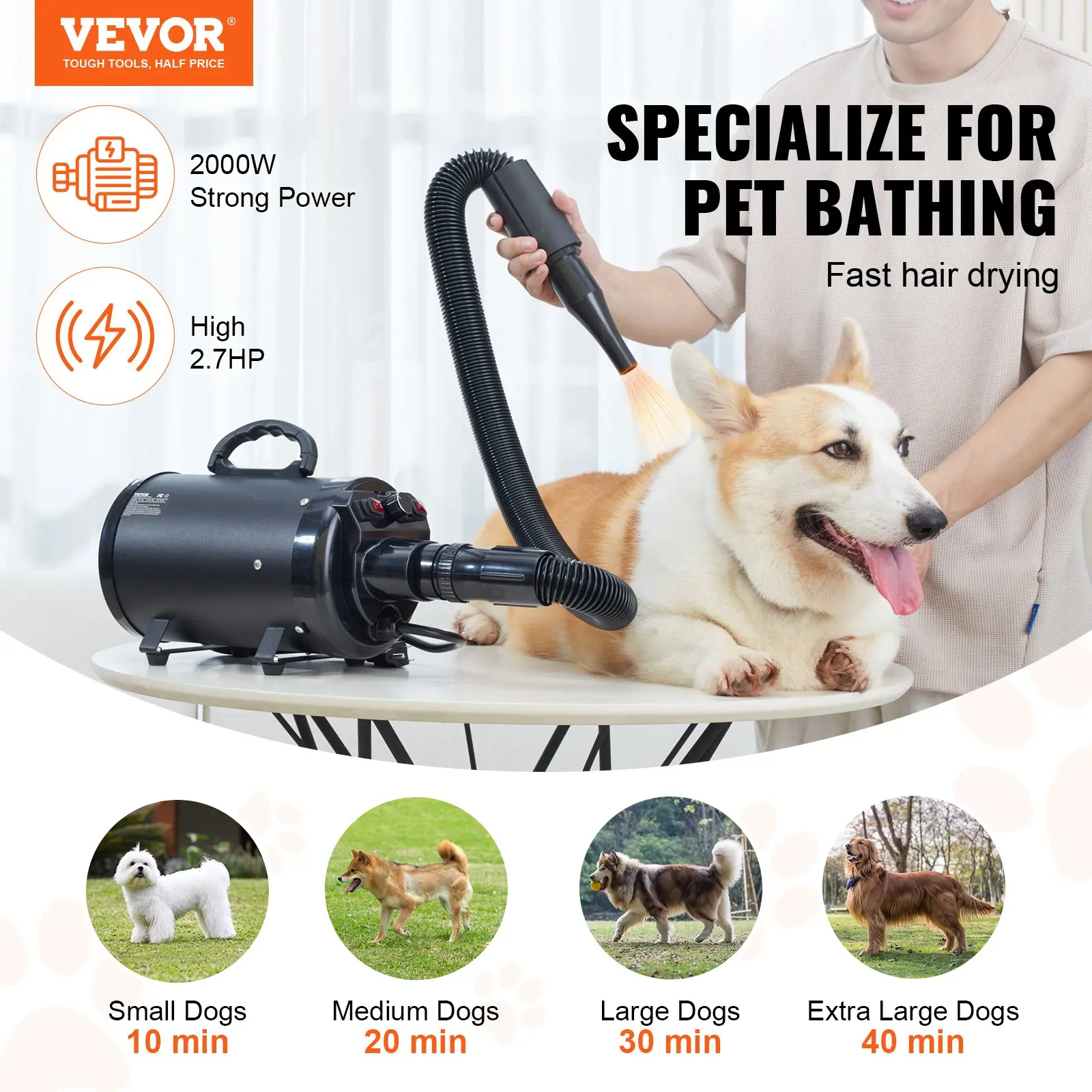 Secador para perros de 2000 W con velocidad y temperatura ajustables