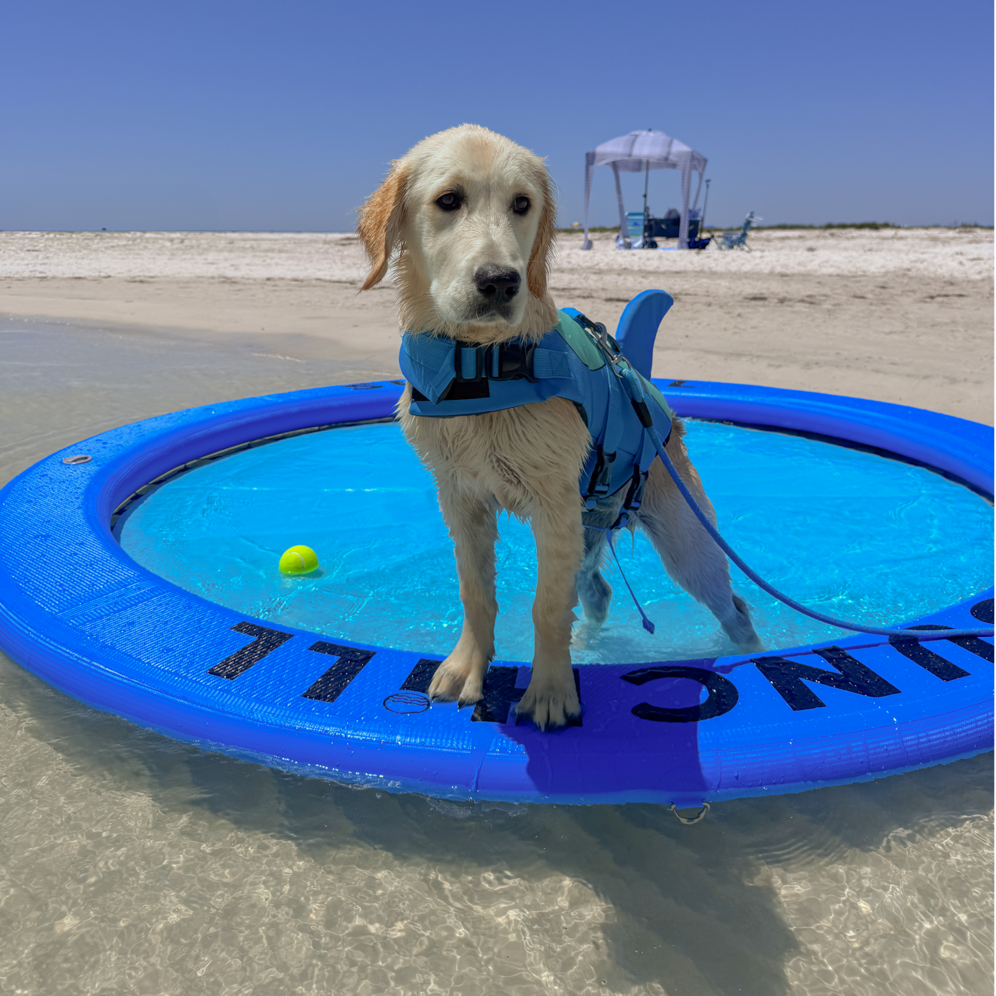 Flotador Redondo Inflable Sunchill Para 2-8 Personas 4in Azul