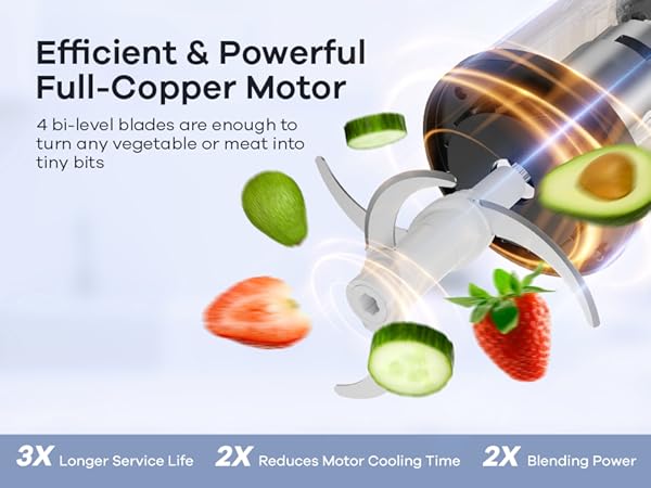 Ganiza Food Processor with 8 Cup Glass Bowls & 8 Cup Stainless Steel 2-Speed Food Chopper Meat Grinder  Upgraded Button & Smart Overheat Protection Light - Includes Clean Brush 2 Sets of Blades Kitchen Vegetable Slicer Vegetable Cutter Kitchen Appliances