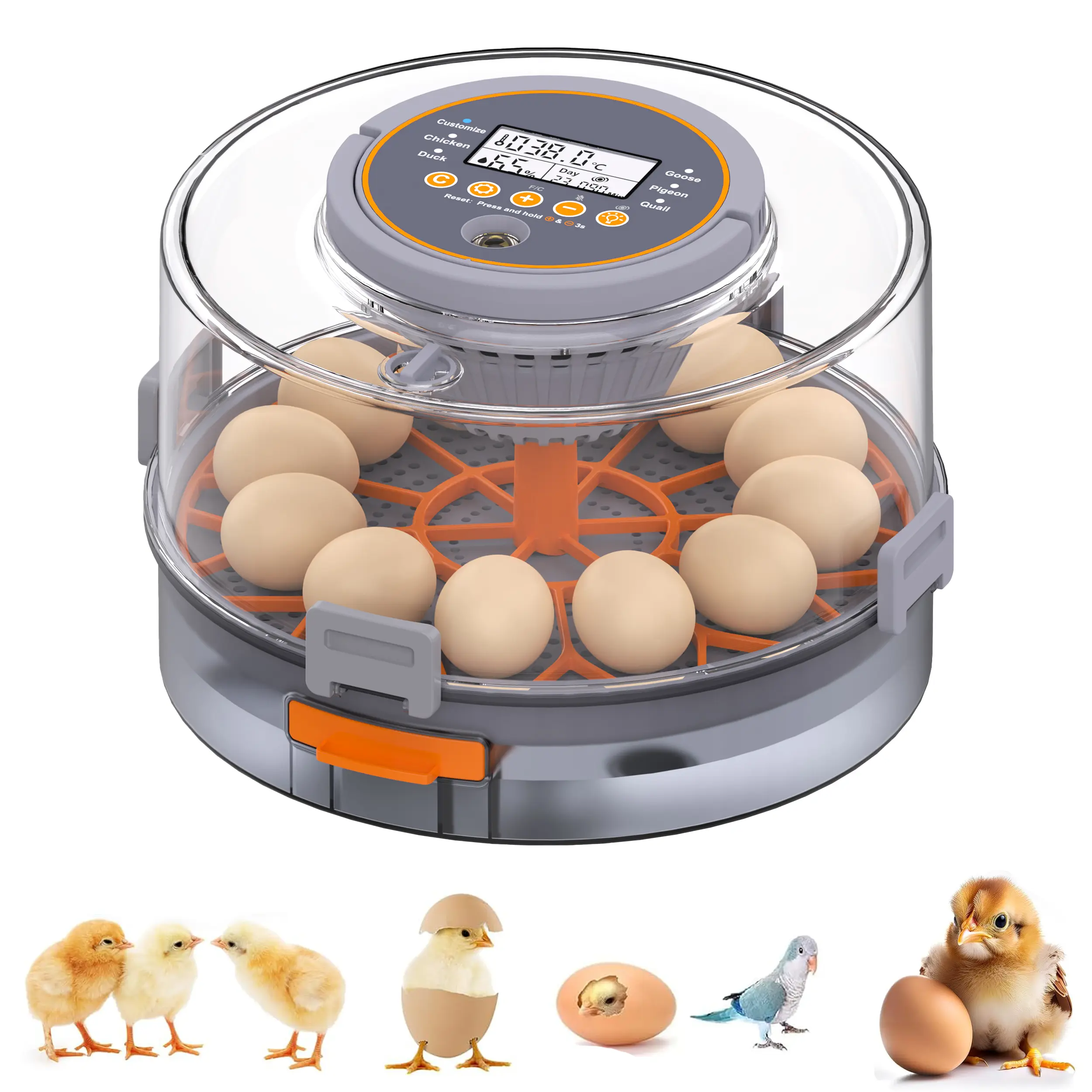 Incubadora automática para huevos de gallina (12-40 huevos) con volteo automático de 360°, pantalla digital y control automático de temperatura y humedad; ideal para la incubación de huevos de gallina, pato y codorniz, con alta tasa de eclosión — Incubado