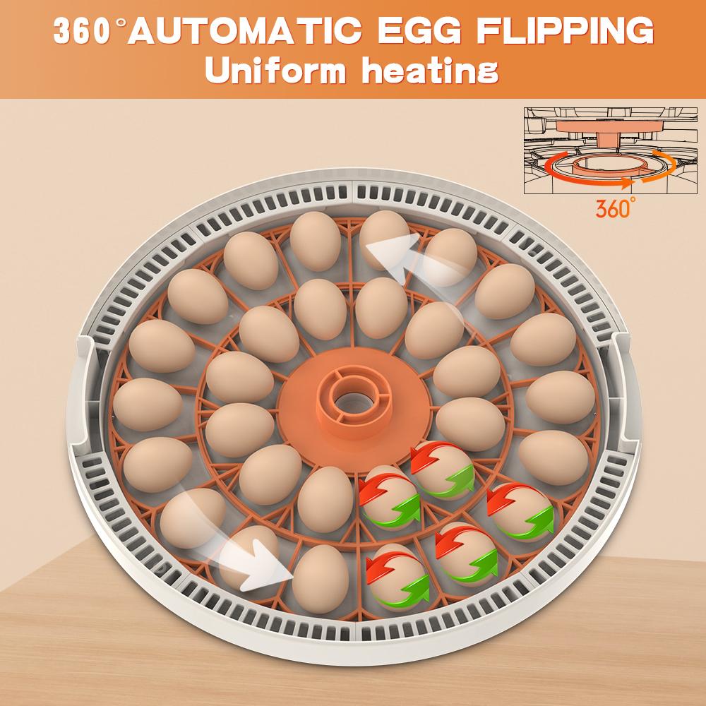 ⭐ Incubadora para 30 huevos con volteador automático, pantalla digital de temperatura y humedad, y espejo integrado para huevos: un elemento imprescindible en todos los hogares mexicanos.
