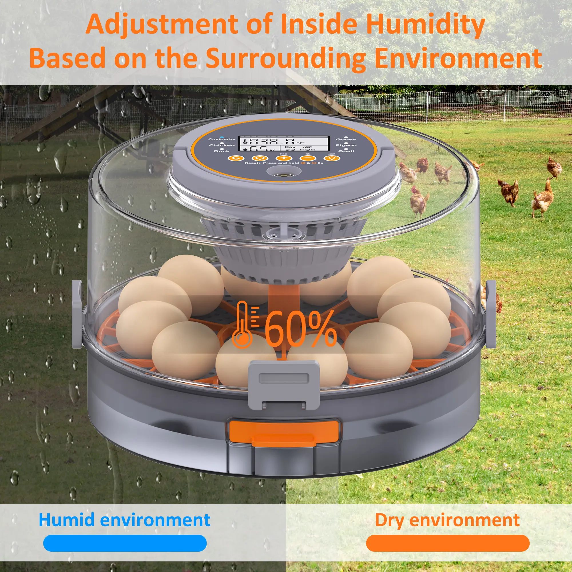 Incubadora automática para huevos de gallina (12-40 huevos) con volteo automático de 360°, pantalla digital y control automático de temperatura y humedad; ideal para la incubación de huevos de gallina, pato y codorniz, con alta tasa de eclosión — Incubado