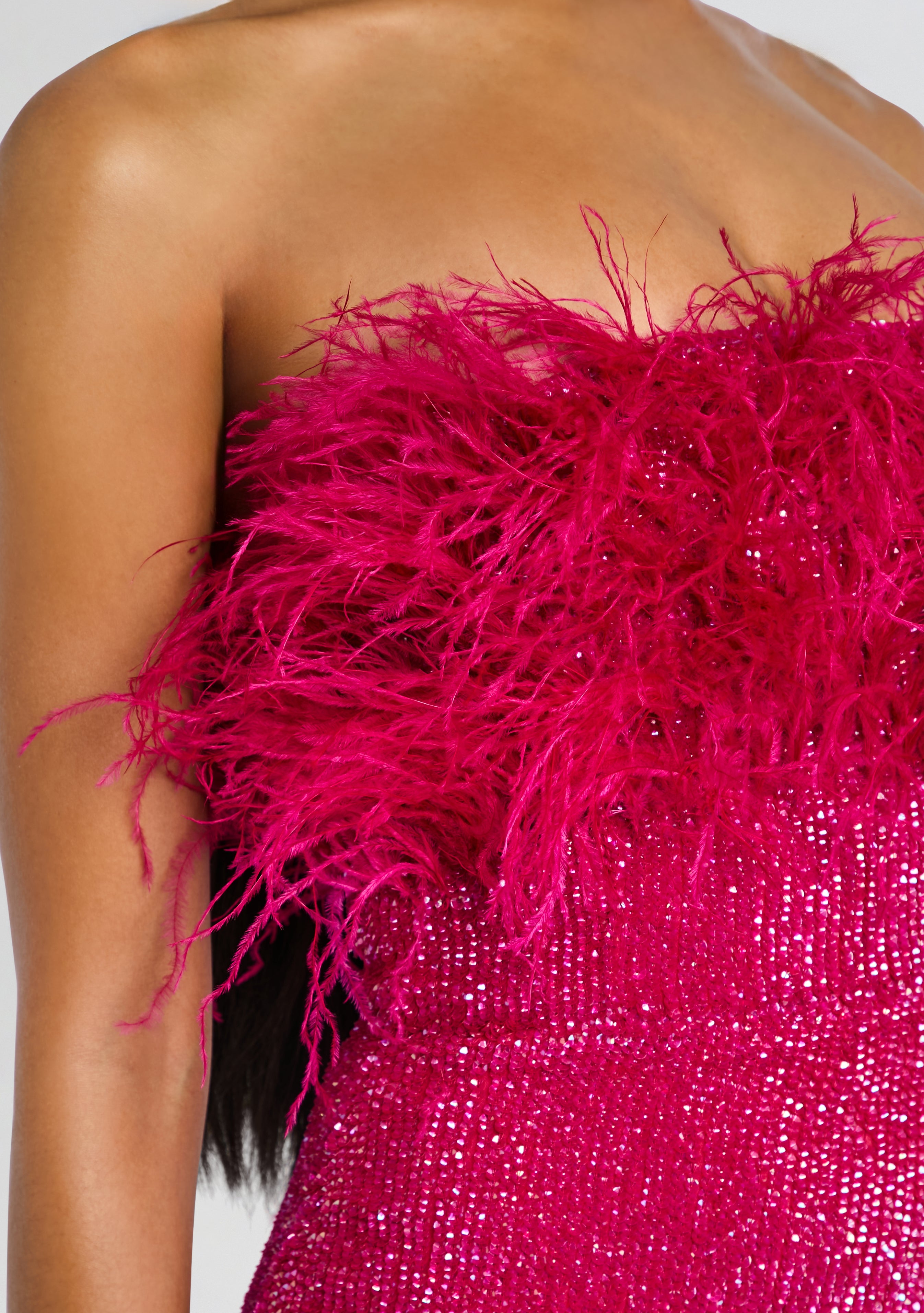 Torin Sequin Feather Dress-Cup Shy