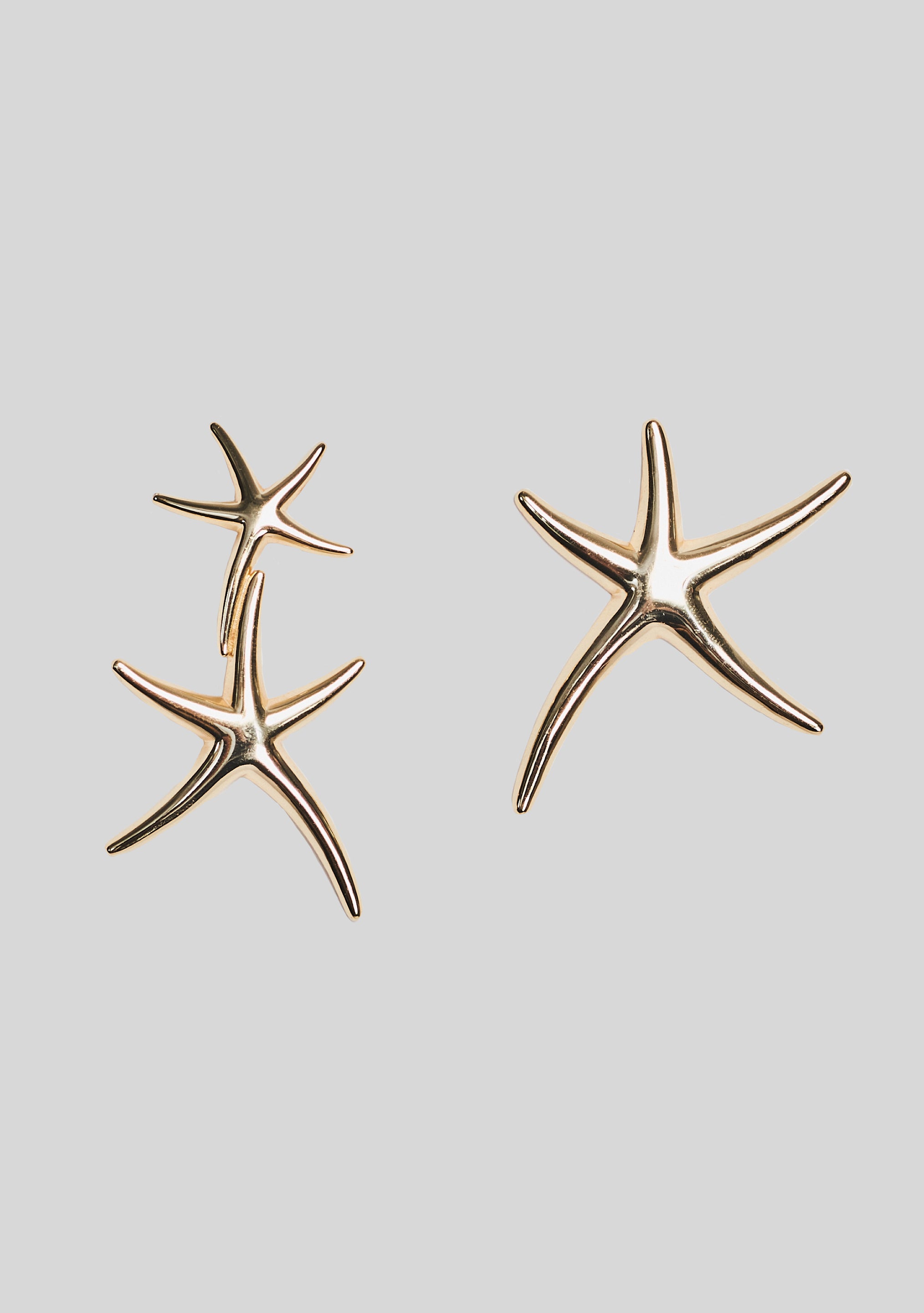 Marine Earrings-Cup Shy