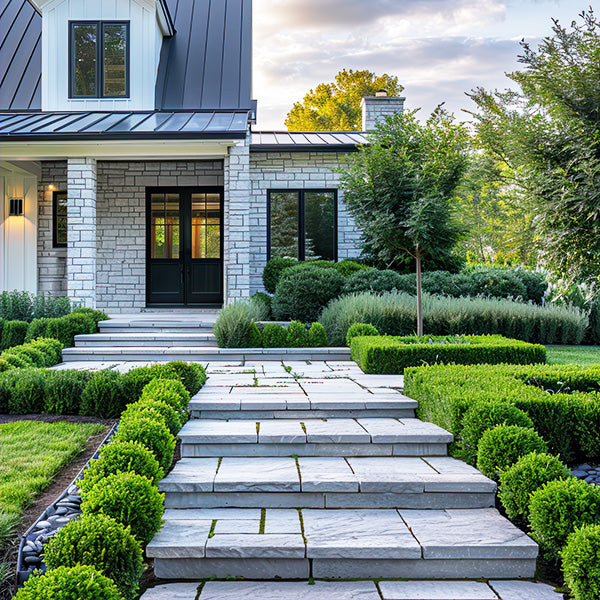 Wintergreen Boxwood in Trade Gallon-Miyaedas