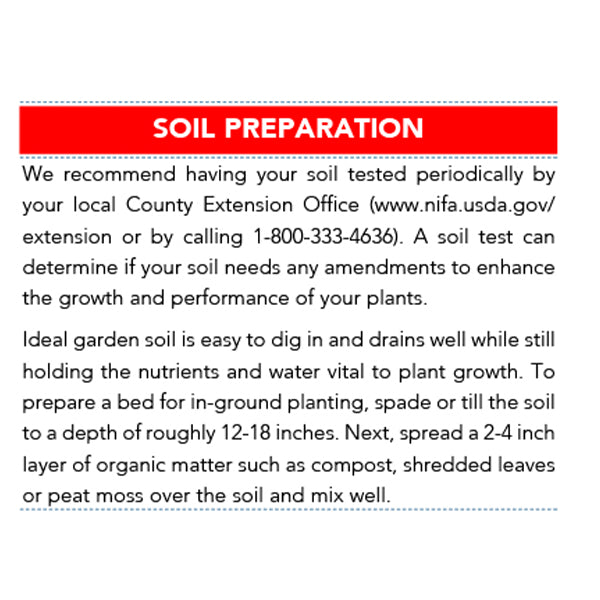 Wintergreen Boxwood in Trade Gallon-Miyaedas