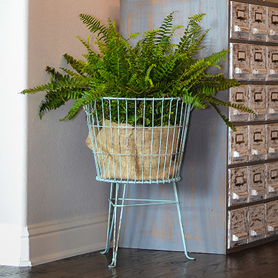 Wire Floor Display Basket-Miyaedas