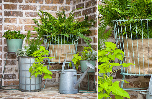 Wire Floor Display Basket-Miyaedas