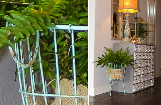 Wire Floor Display Basket-Miyaedas