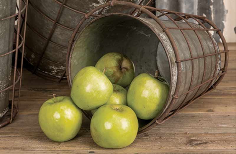 Wire Basket Bucket  Set of 3-Miyaedas