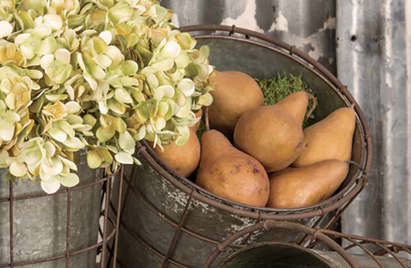 Wire Basket Bucket  Set of 3-Miyaedas