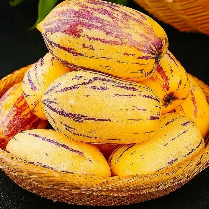 🌿✨Graines de « fruit du ginseng » (Solanum muricatum)