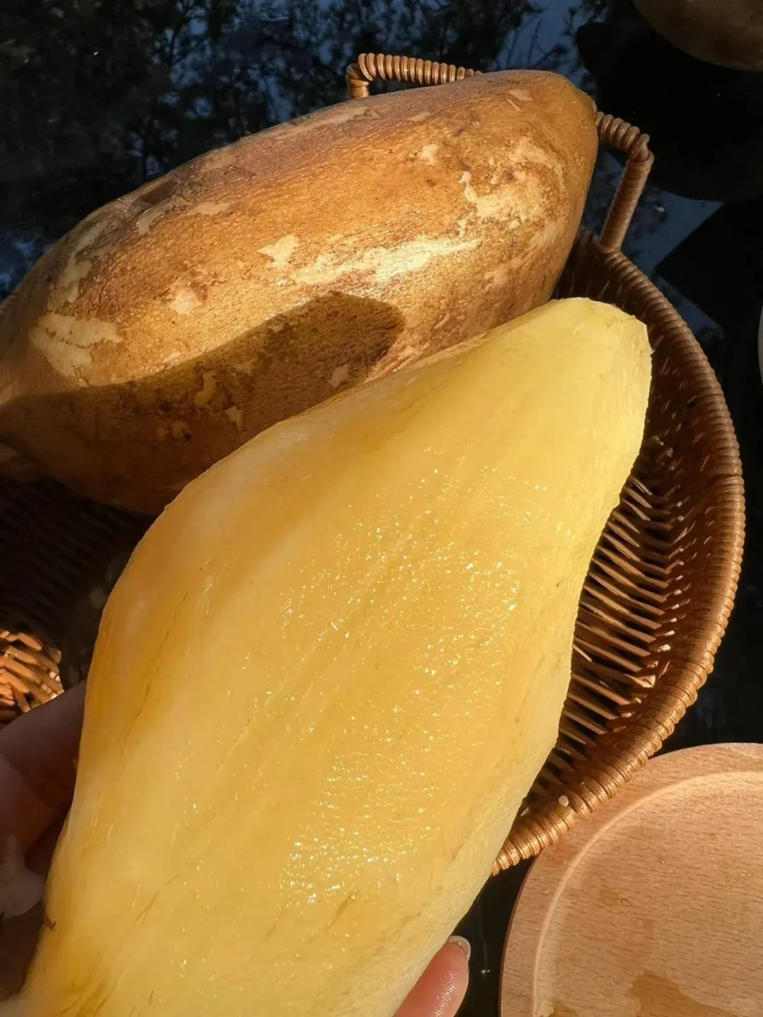 Organické semeno Jakonu🥔 ľahko pestovateľné, vysoký výnos(1 balenie 200 semien)