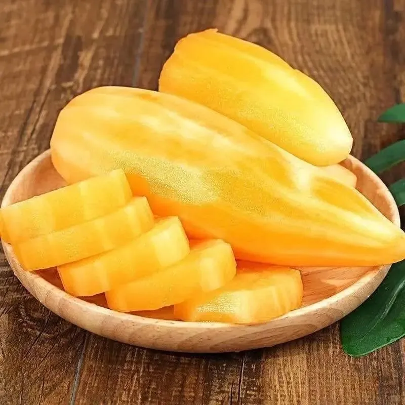 Organické semeno Jakonu🥔 ľahko pestovateľné, vysoký výnos(1 balenie 200 semien)