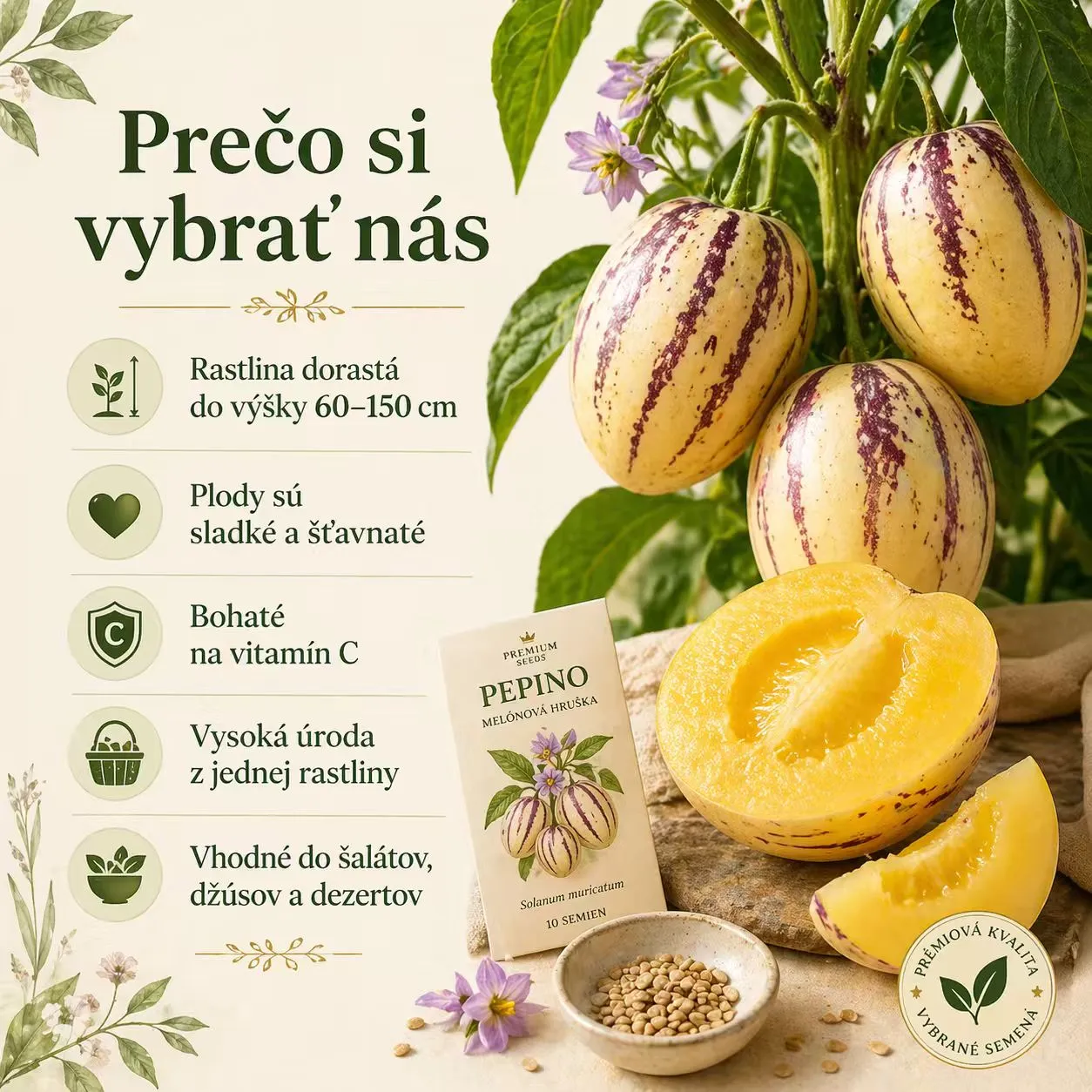 ✨Rarita! Semená plodov ženšenu🥭 Vysoká klíčivosť, vitamínová bohatosť | -50% Zľava 🔥 100 semien/balení