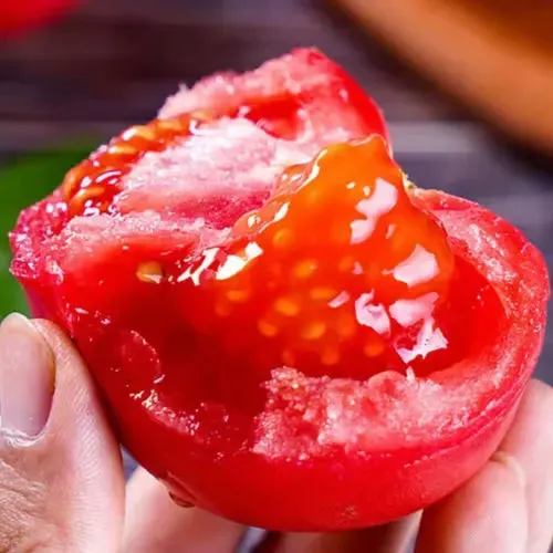 🍅🍅Semená zakrpatených paradajok v kvetináči