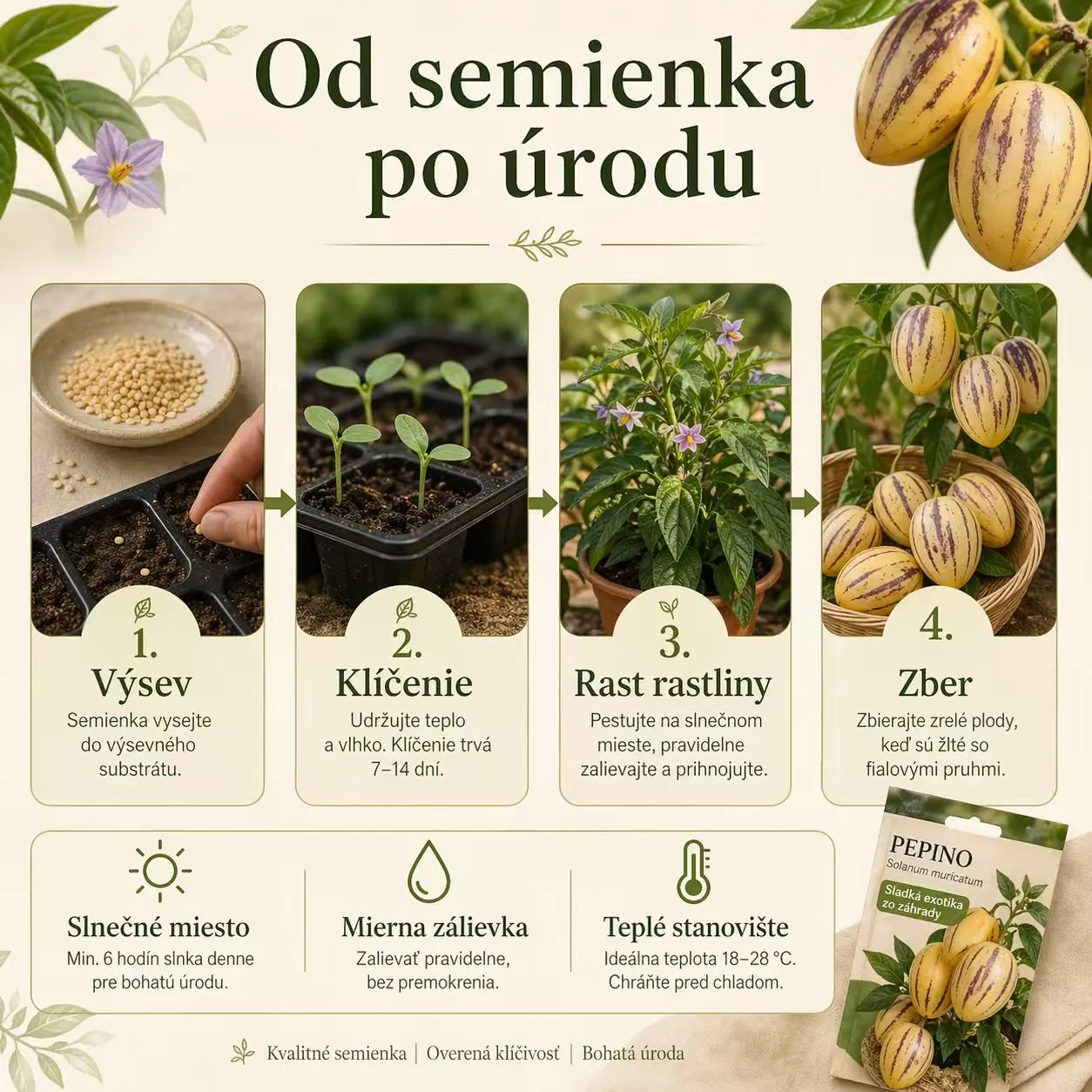 ✨Rarita! Semená plodov ženšenu🥭 Vysoká klíčivosť, vitamínová bohatosť | -50% Zľava 🔥 100 semien/balení