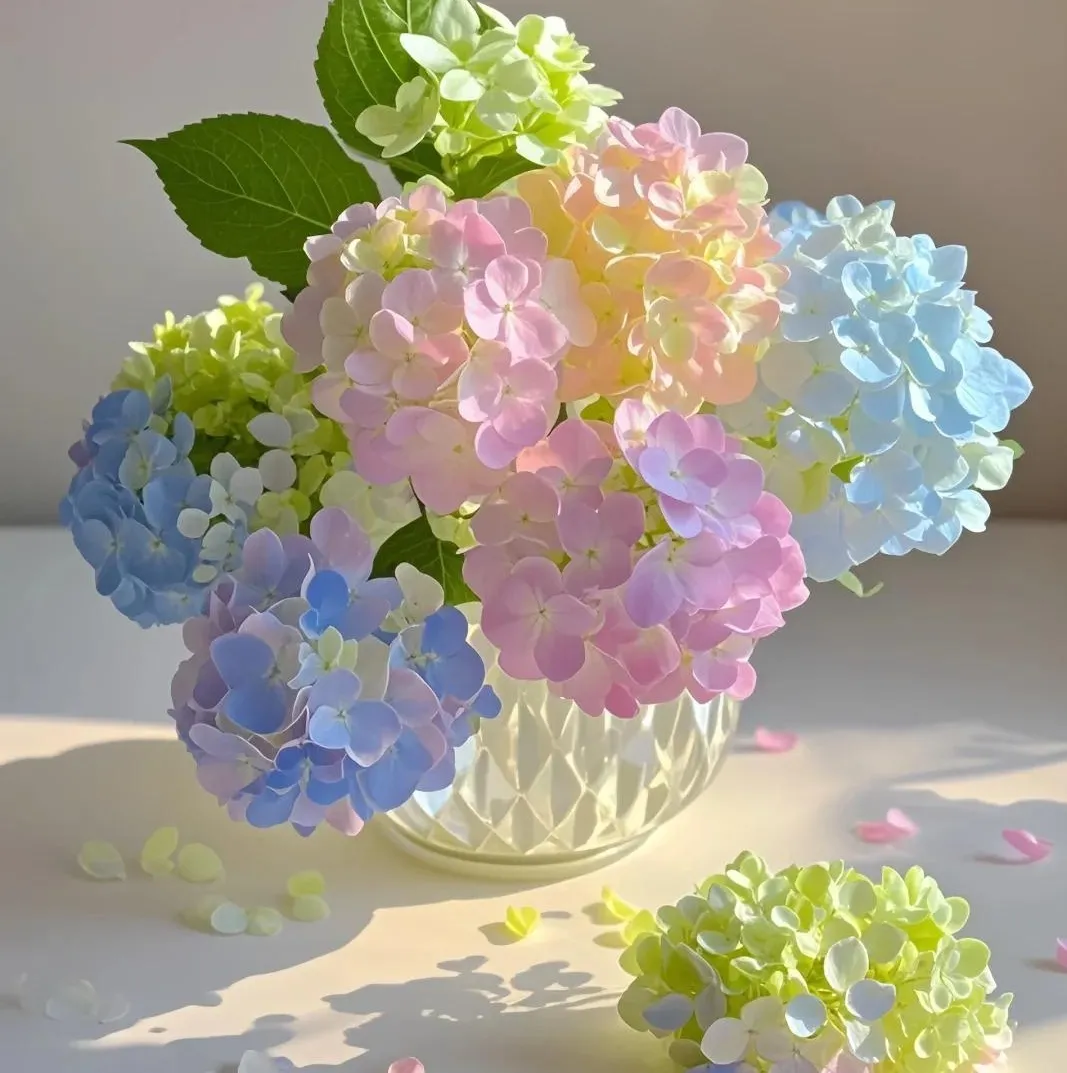 🌸 Hortenzia - Kvitnúce romantika po celú sezónu!
