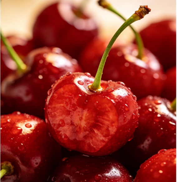 🌟 Obrovské sladké čerešňové semienka – pestujte obrovské, šťavnaté čerešne doma! 🍒✨