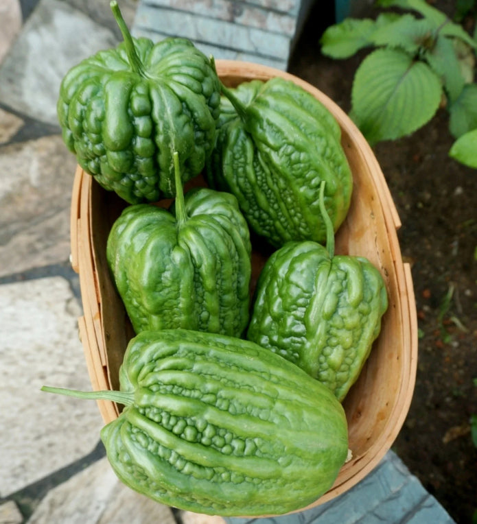 🌿Jablkový horký melón – Unikátna zmes ovocia a zeleniny!