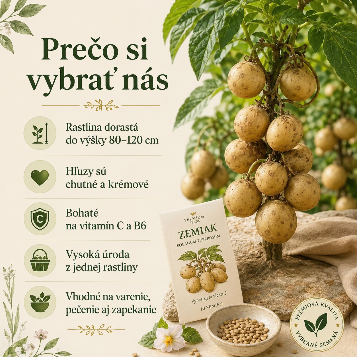 Semienka zemiakov, ktoré rastú na stromoch 🥔 Zemiaky pre lenivých(1 balenie 200 semien)
