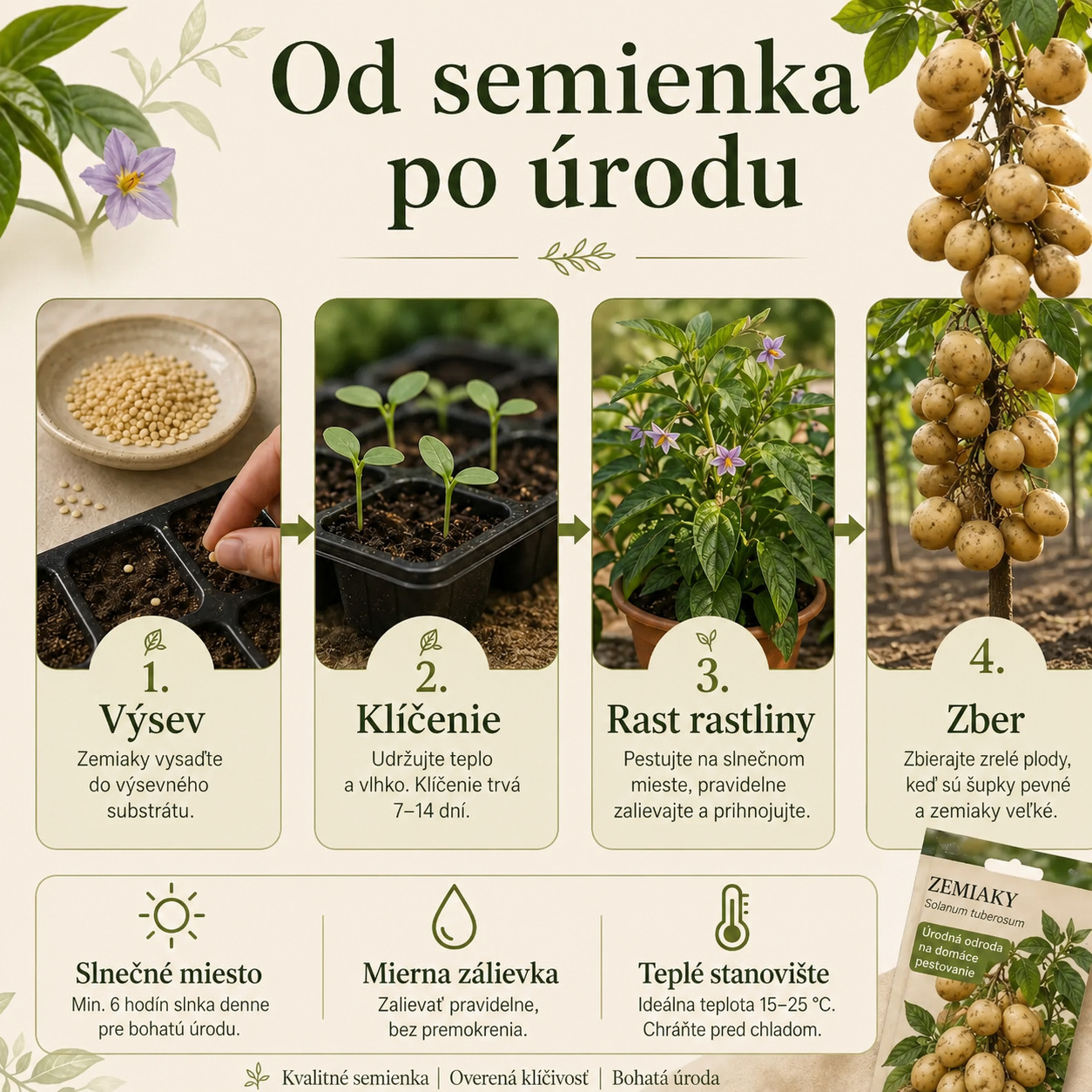 Semienka zemiakov, ktoré rastú na stromoch 🥔 Zemiaky pre lenivých(1 balenie 200 semien)