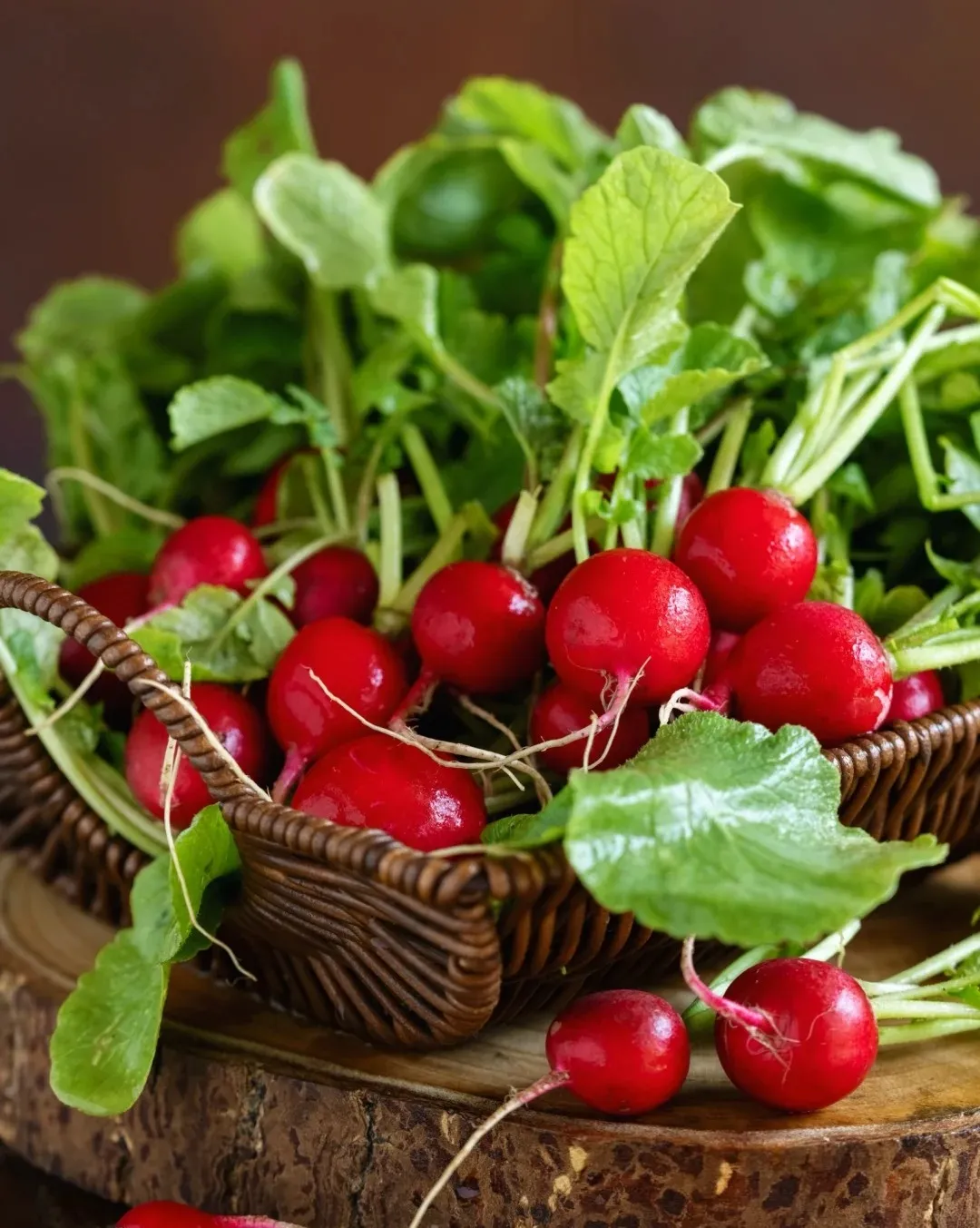 🥕 Čerešňové reďkovky – zber o 25 dní. Chrumkavé, sladké, ideálne do šalátu aj do hrnca. 🌿✨(1 balenie 1000 semien)