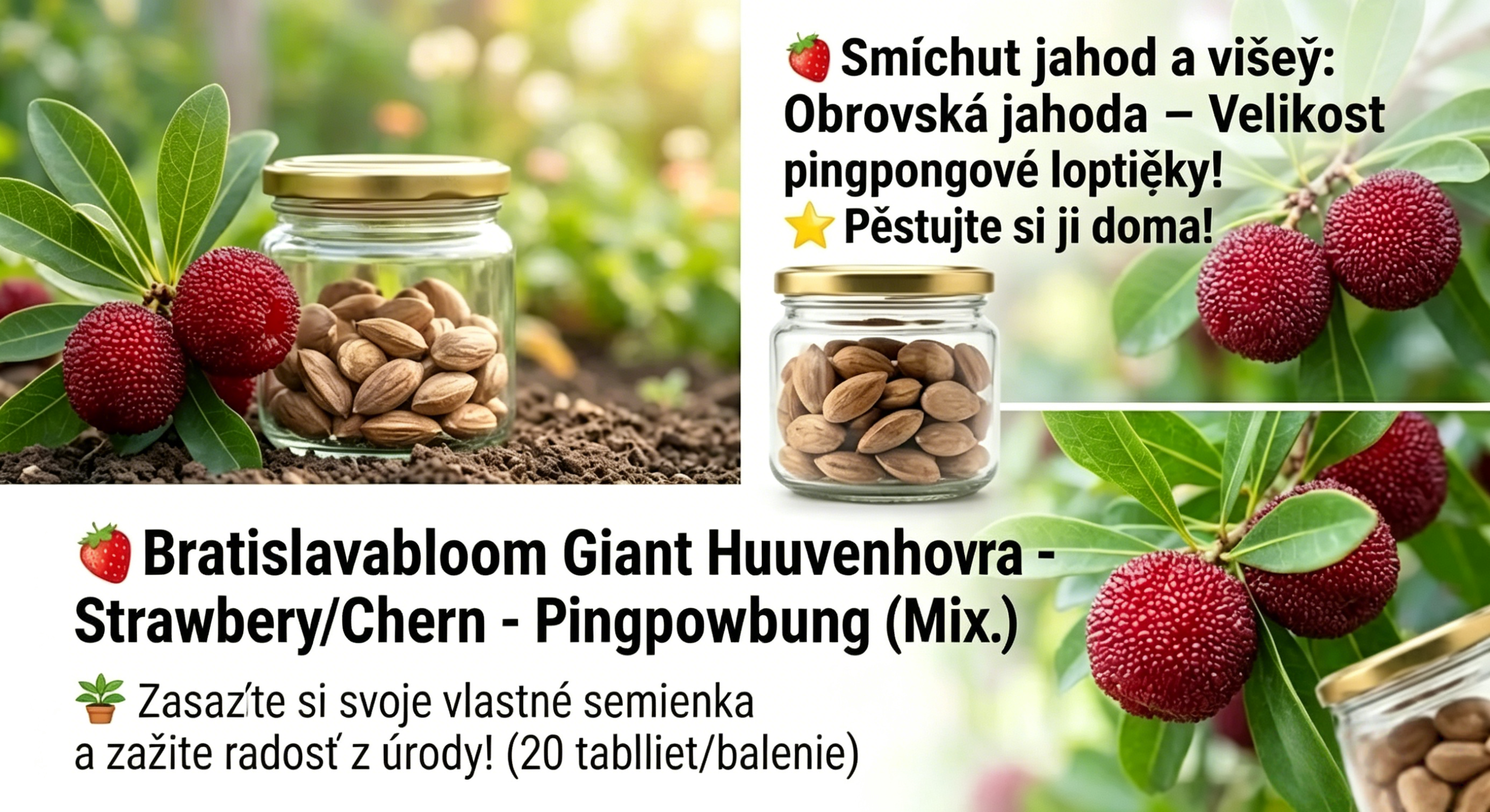 Obrovská borůvka s chutí jahod a třešní⭐ 20 semen v balení