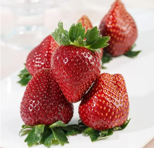 Semena jahod Black Pearl