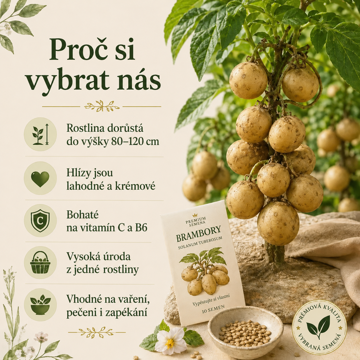 Semínka brambor, které rostou na stromech 🥔 Brambory pro líné(1 balení 200 semen)
