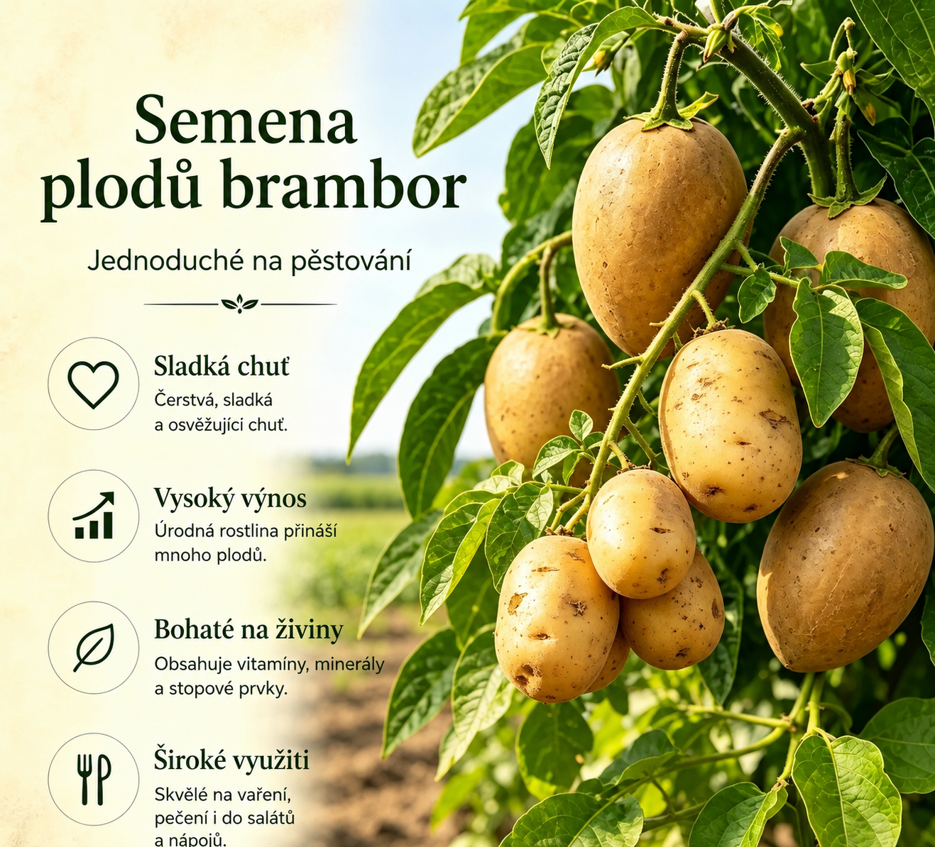 Semínka brambor, které rostou na stromech 🥔 Brambory pro líné(1 balení 200 semen)