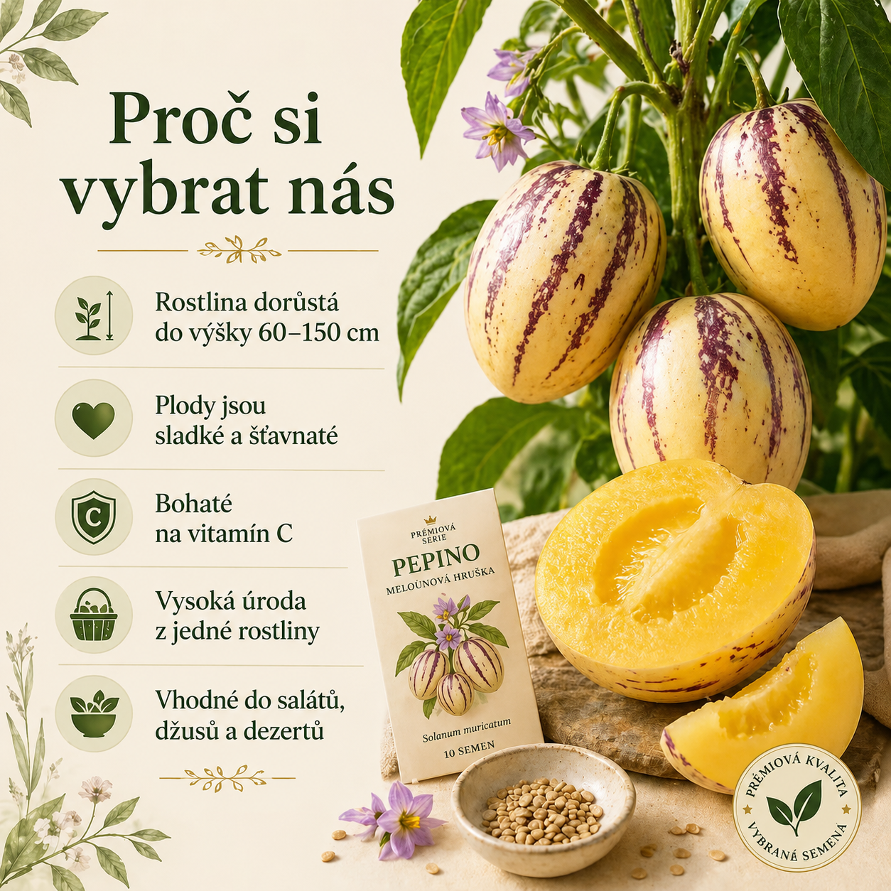 ✨️Raritá semena z plodů ženšenu🥭Bohatá na vitamíny a minerály!-50% sleva🔥(1 balení 100 semen)