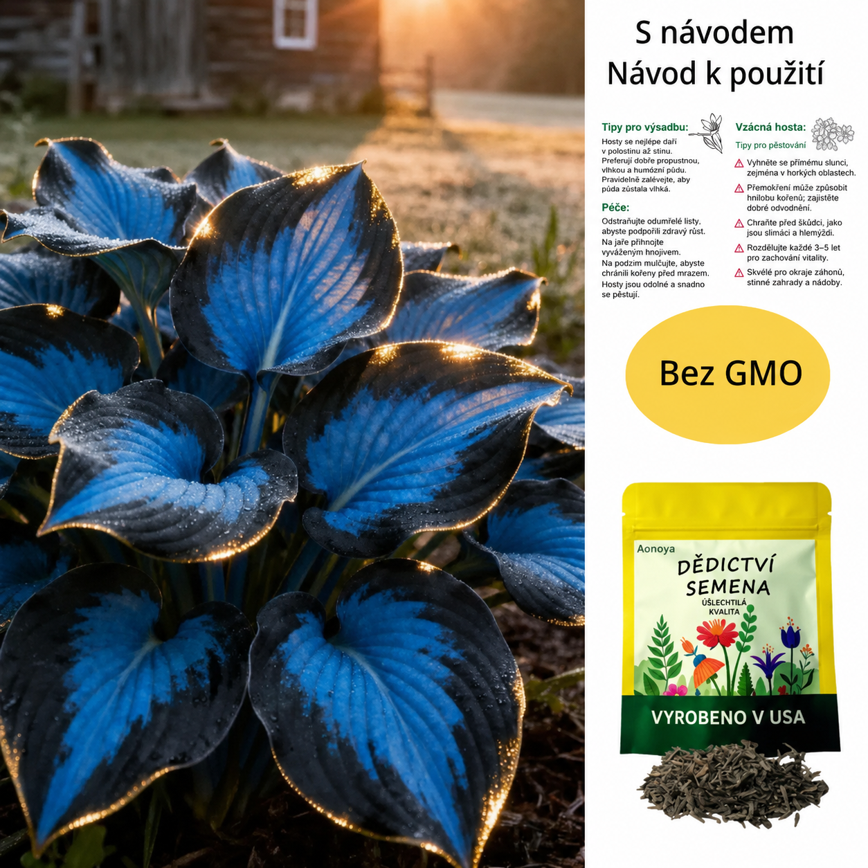 🔥 Zimní výprodej 🌌 Zimně odolná, vysoce kvalitní, vzácná semena hosty 🌿 – Rostlina odolná vůči stínu(1 balení 50 semen)