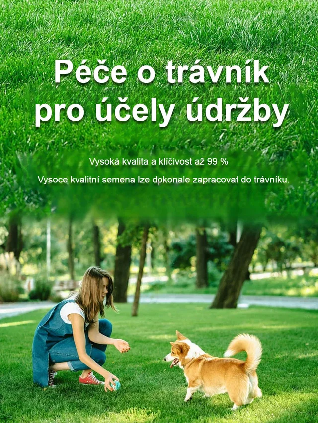 semena trávníku