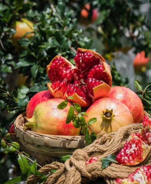🍏Nasiona owoców