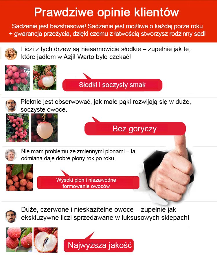 1_06.jpg