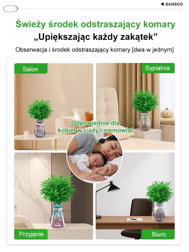 🌿 Nasiona bambusa przynoszące szczęście – zielony talizman ze Wschodu! 🌿