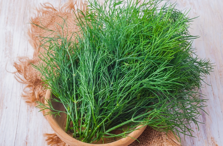 🌿 【Nasiona ziół】 - Stwórz swój pachnący ogródek kuchenny