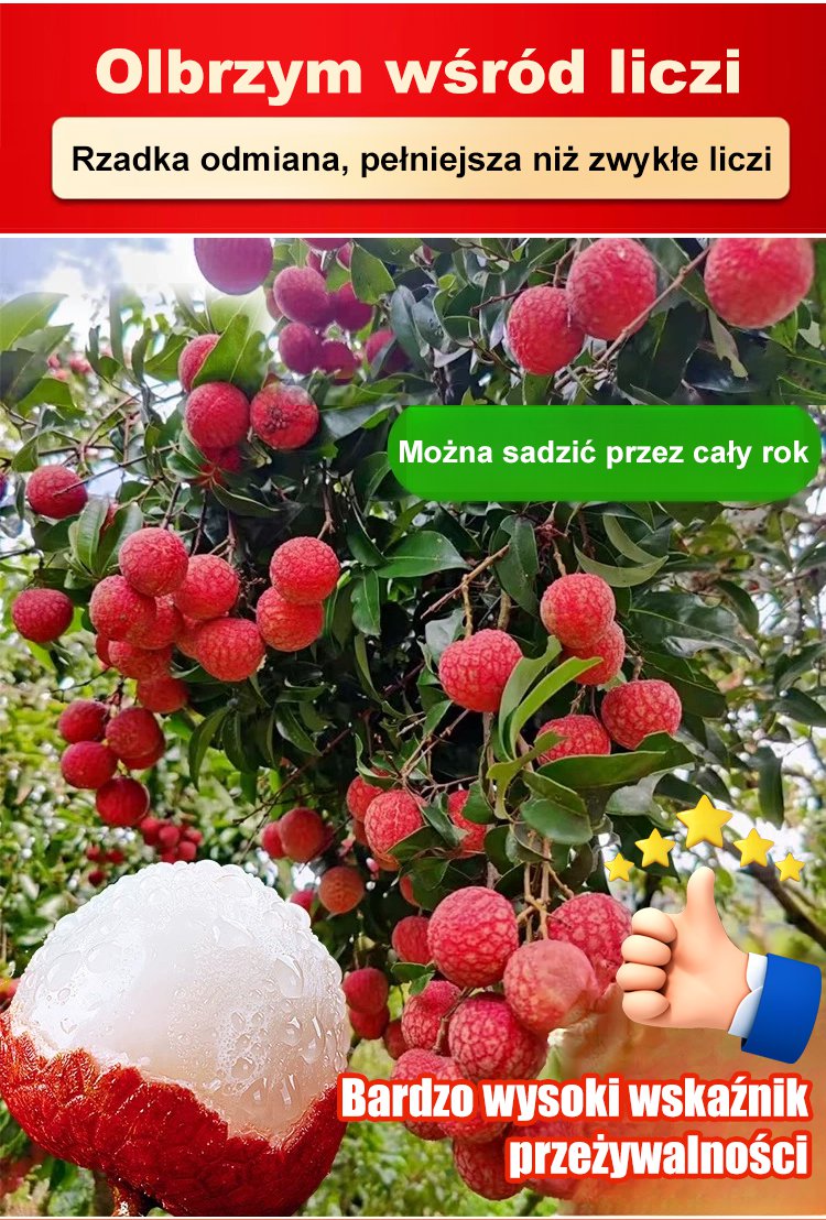 1_05.jpg