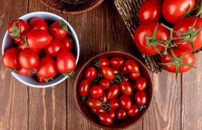 🍅🍅Nasiona pomidorów karłowych w doniczce