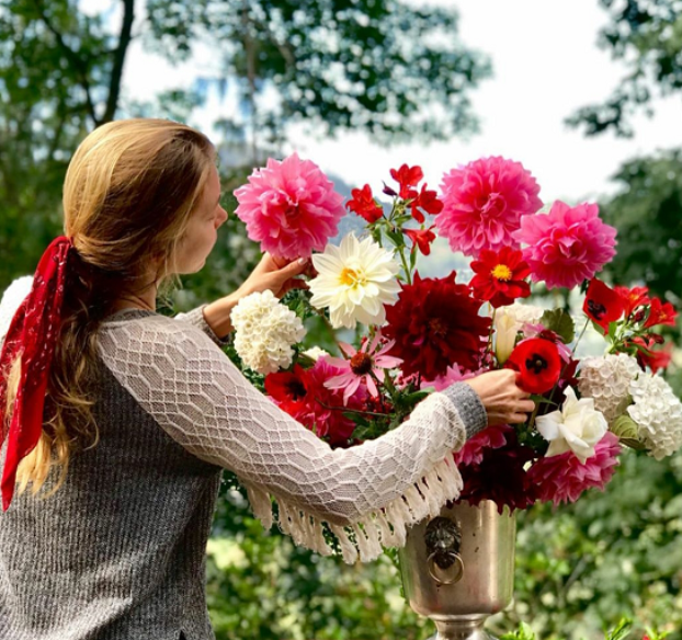 🌺Ulubieniec polskiego ogrodnictwa: nasiona dalii | Obfite kwitnienie, szczęście, nawet początkujący mogą wyhodować obfitą roślinę✨