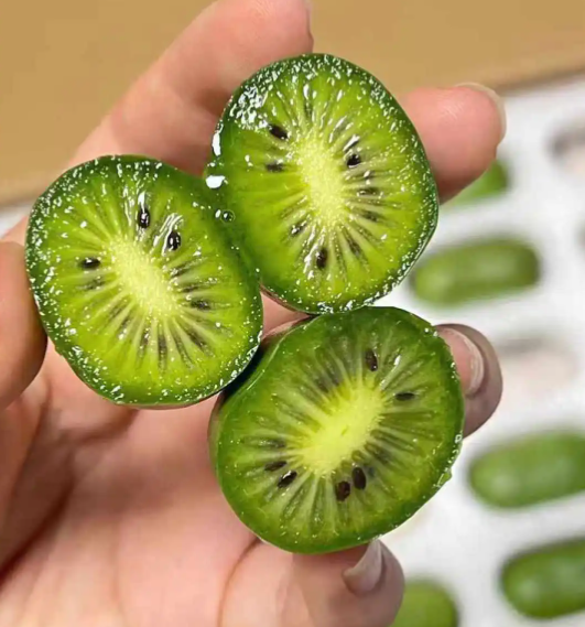 🌱【Nasiona cudownego kiwi】Mini nasiona kiwi – Zasadź nasiona słodyczy, zbierz niespodziankę!