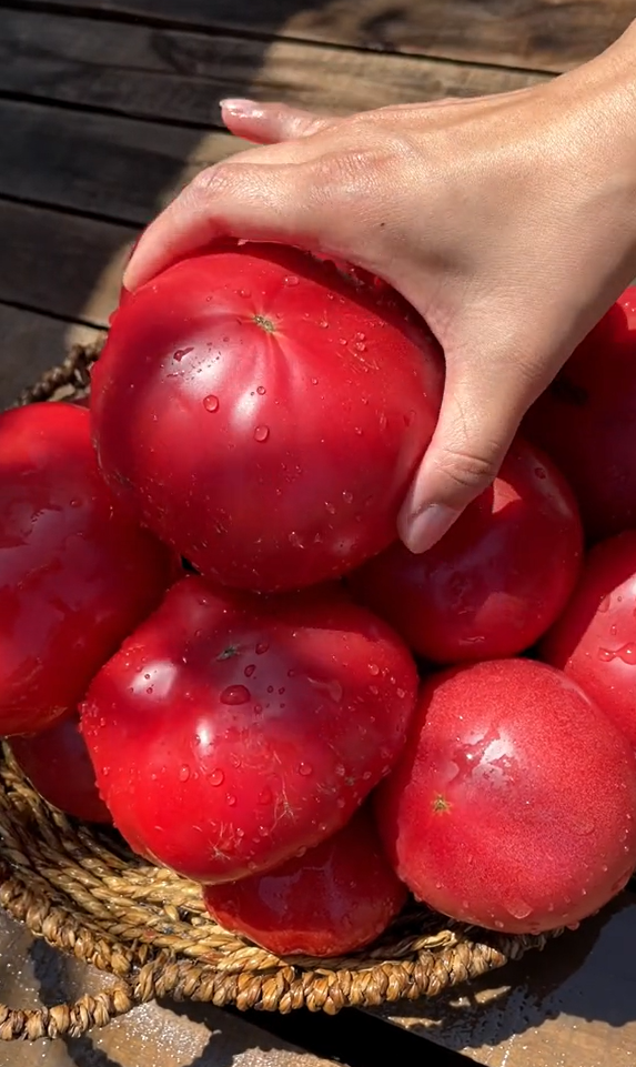 🍅 Dedičné paradajky so šťavnatou jemne zrnitou dužinou — chuť leta ako kedysi 🌿