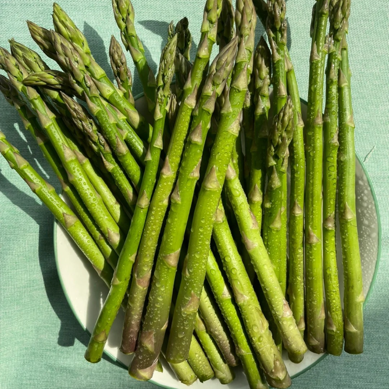 🌱 Bio spárgamagok – Természetes és könnyen termeszthető 🥬
