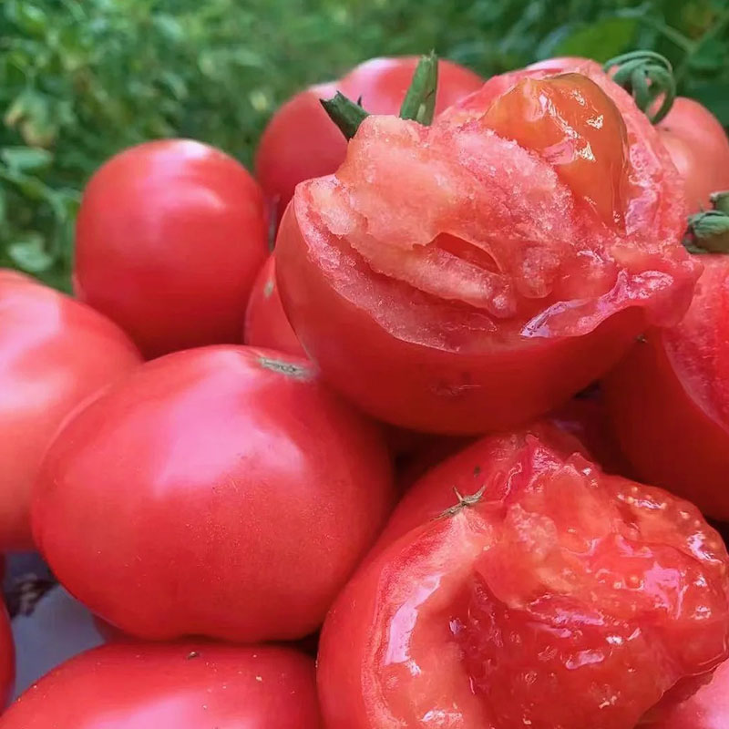 Семена реликтов домат с месеста вътрешност 🍅