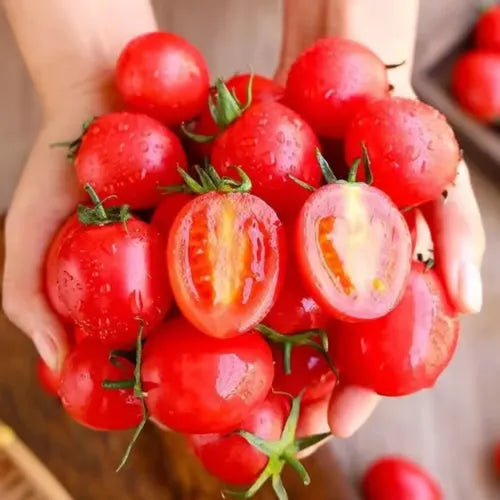 🍅Сладки дребни домати за саксия – Семена за домашна градина🍅