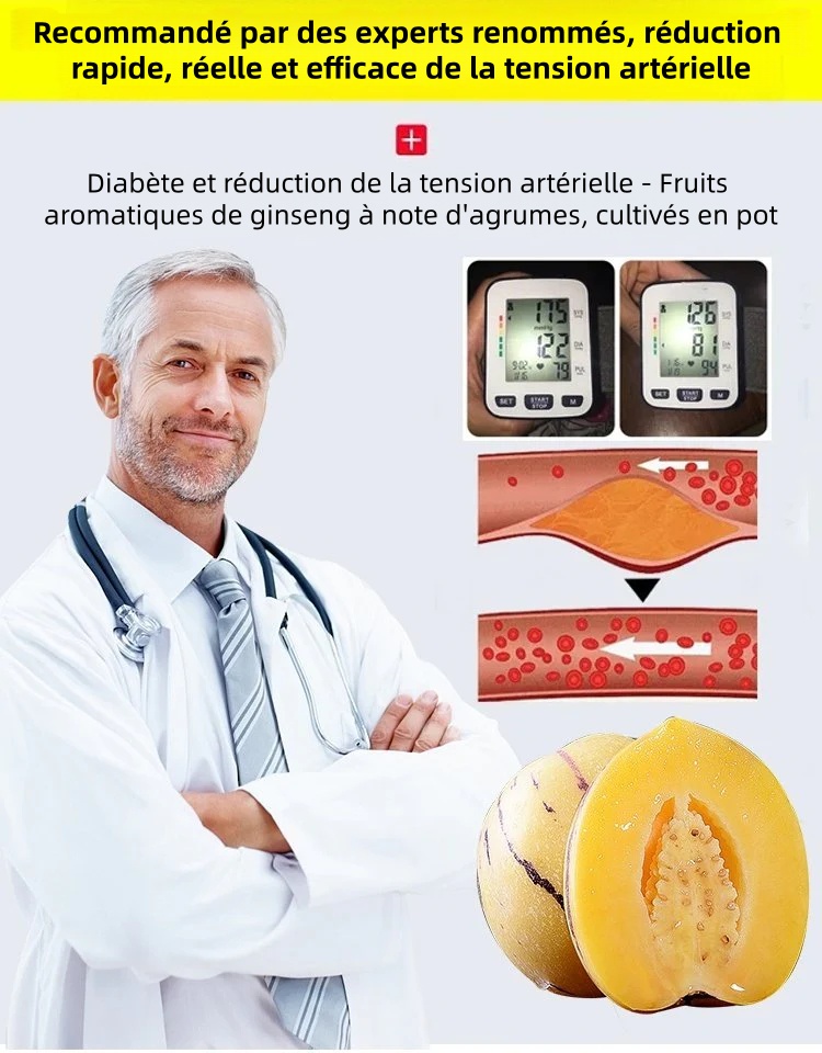 🎁30% de Réduction🍐🍐Graines De Pepinos (Melon Poire)