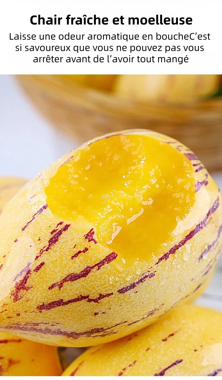 🎁30% de Réduction🍐🍐Graines De Pepinos (Melon Poire)