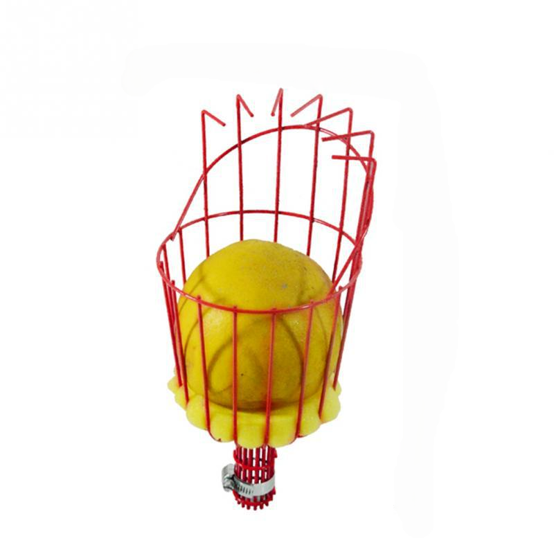 Recolector de frutas con palo extensible